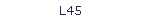 L45